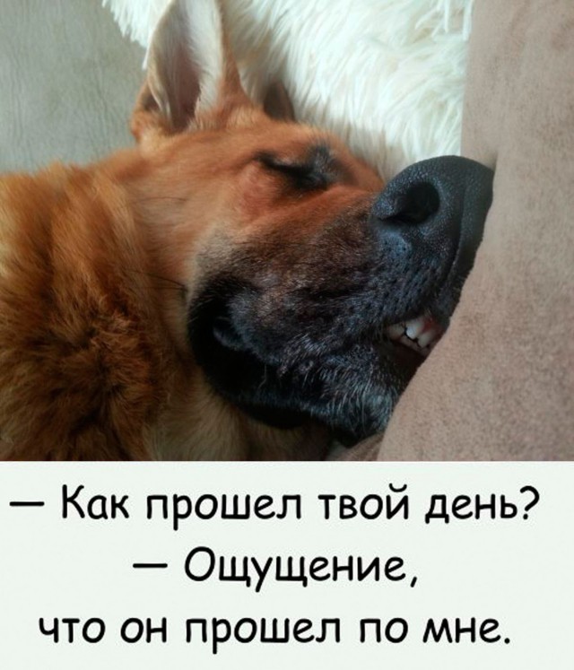 Разные картинки из сети