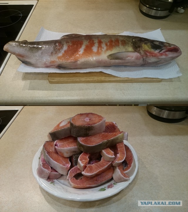 Экспериментальная кулинария. Кета с рисом в духовке.