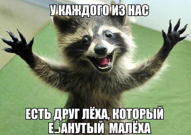 Про Любовь и Деньги