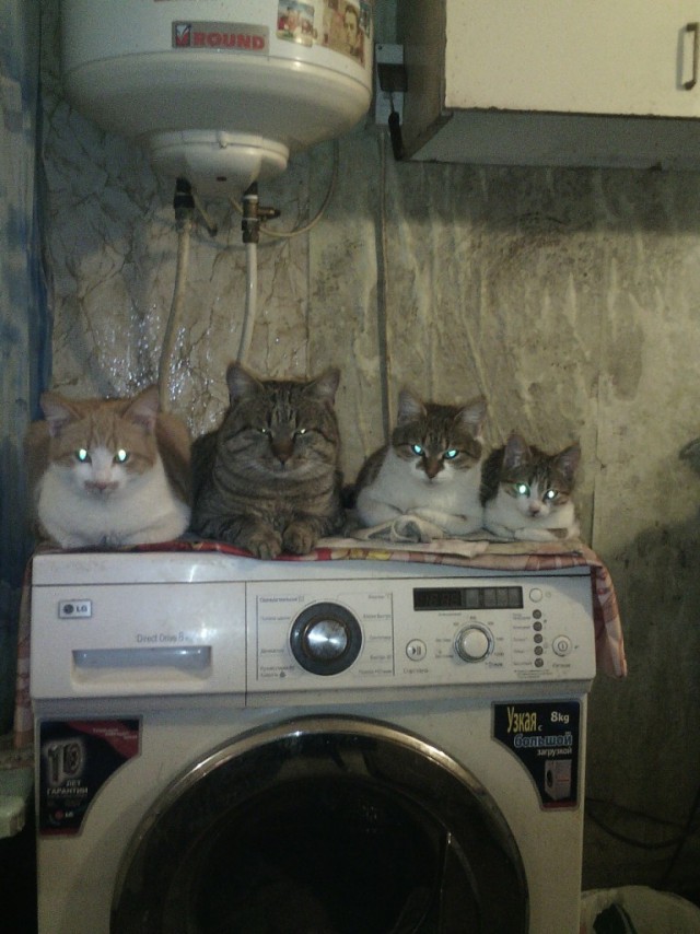 Застукали...