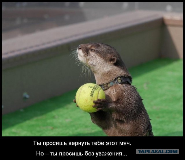 Подборка интересных и веселых картинок