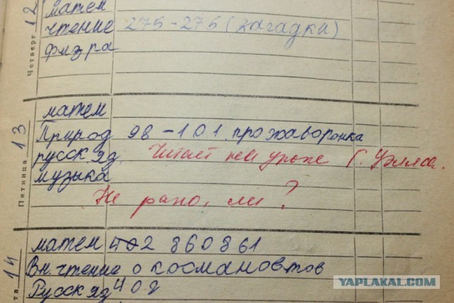 Замечания в дневниках