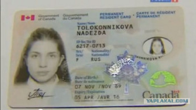Знакомьтесь, новый эксперт CNN