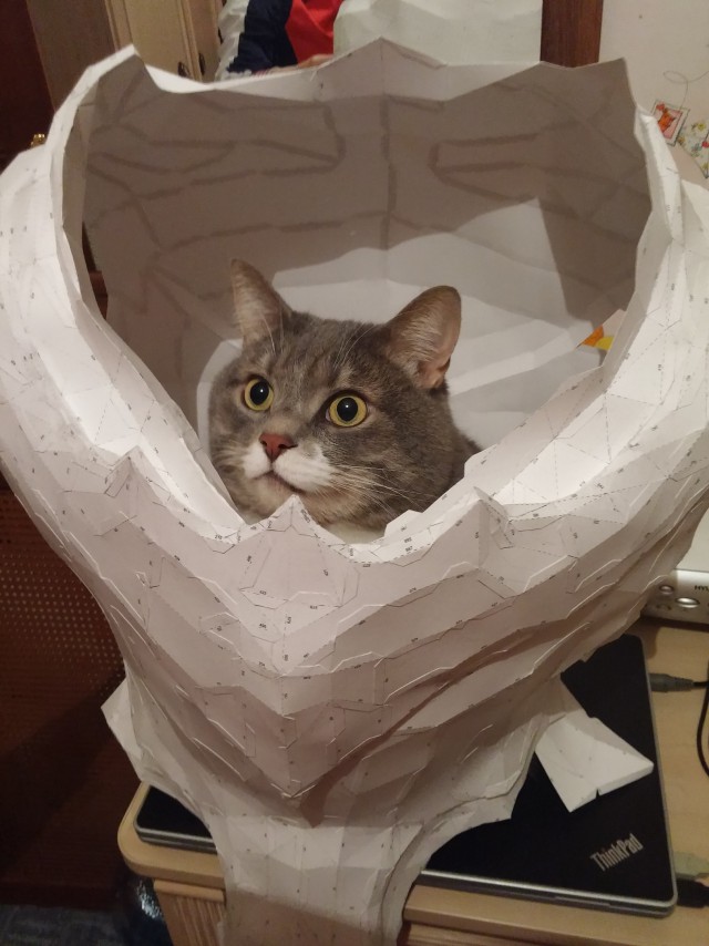 Коты и Кошки