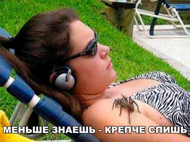 Нестандартный юмор