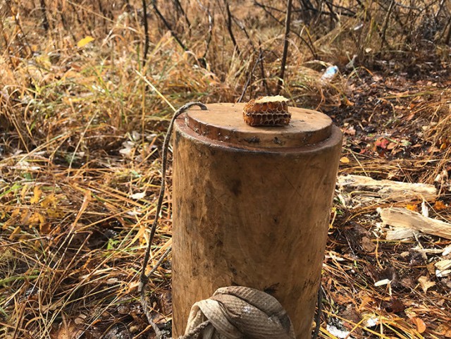 Здесь волки крадут овец, а люди держат дома обрезы