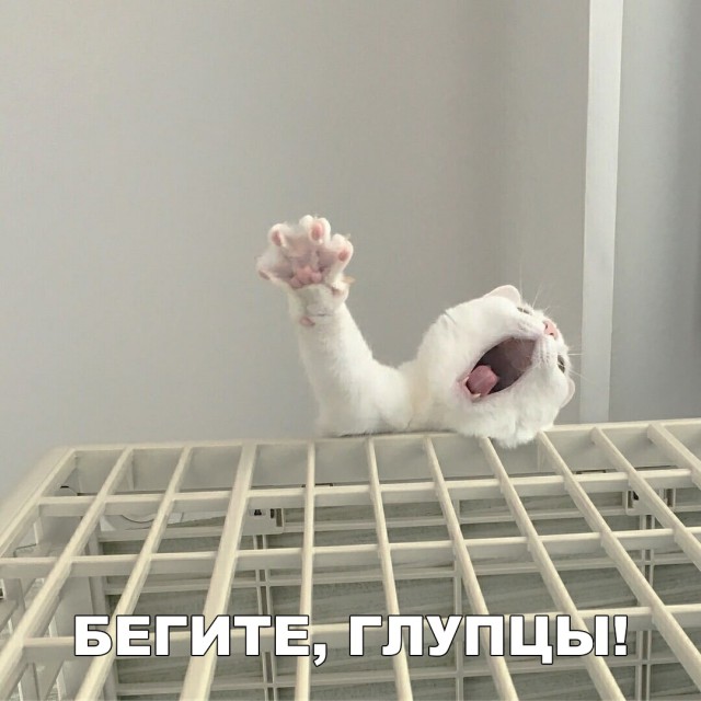 Нестандартный юмор