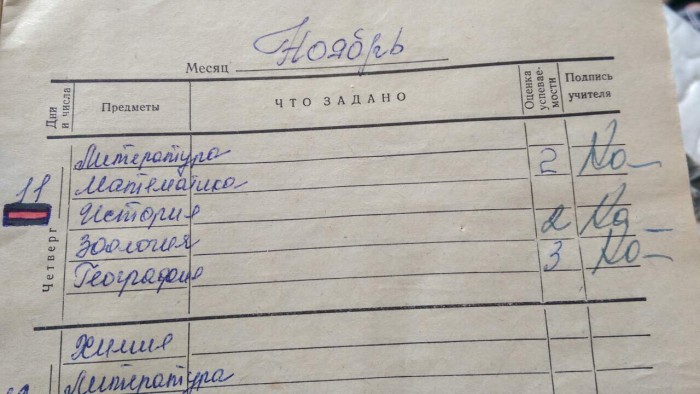 Воспоминания о школьном дневнике