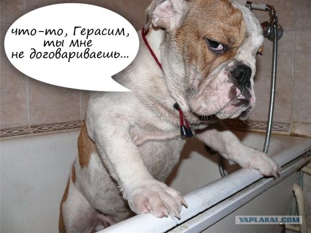 Подозревака