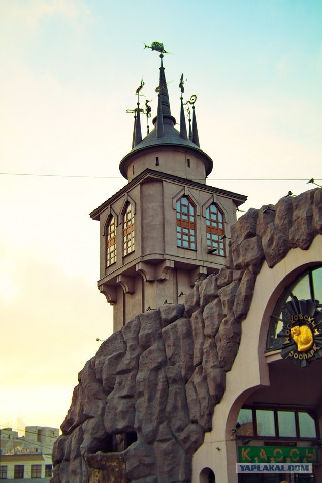 Московский зоопарк