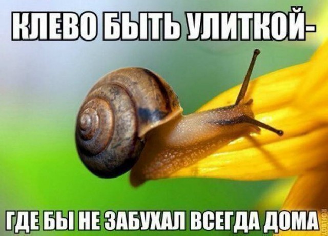 Картинки разные нужны, картинки всякие важны