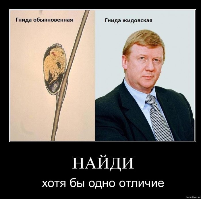Чем рыжие отличаются от всех остальных людей