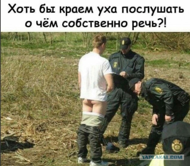 Прикольные комментарии и высказывания из Сети