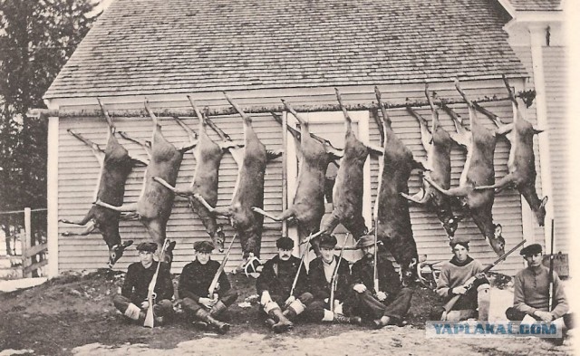 Знакомьтесь: Сэмми Ли из Крайстчерча (Новая Зеландия)