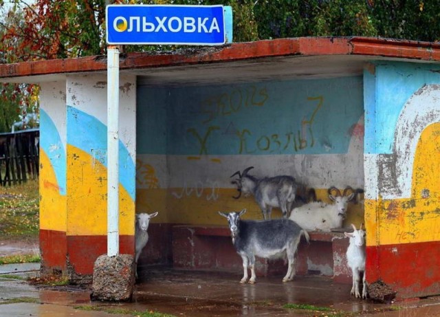 Как соблазнить девушку покачивая перьями на шляпах или рак мозгом заболееет