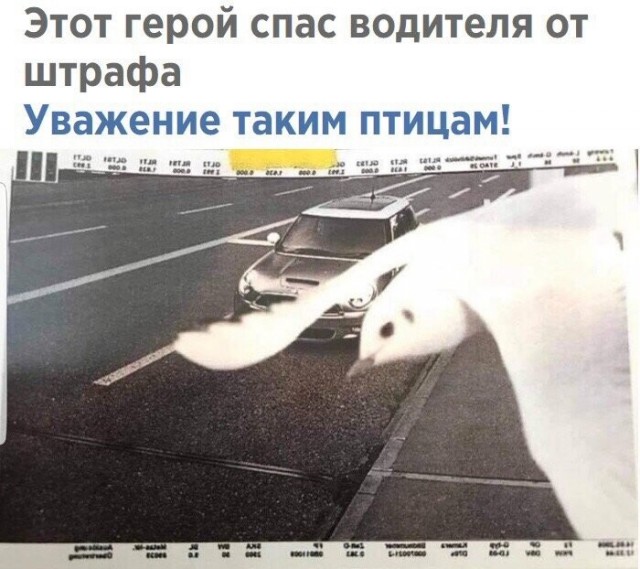 Объявления