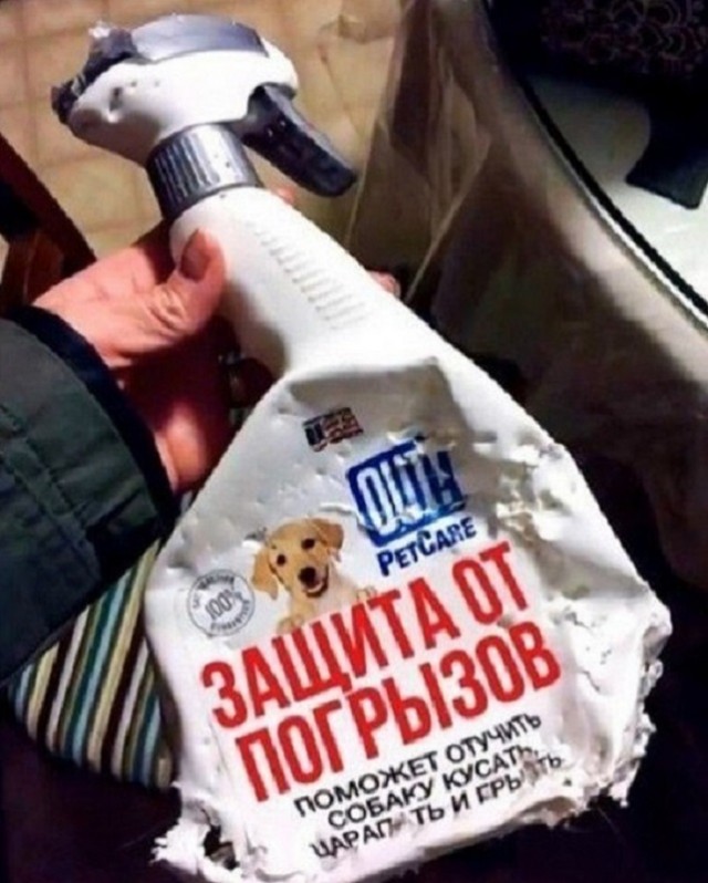 Подборка интересных и веселых картинок 07.10.19