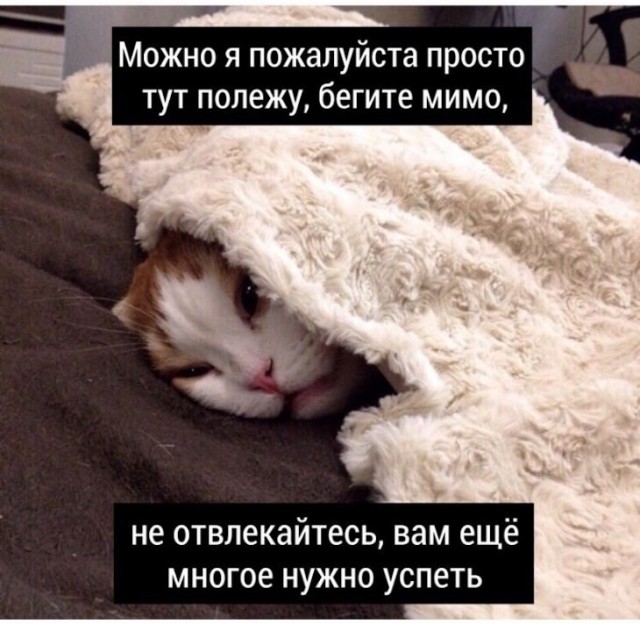 Немного картинок для настроения 22.02.20