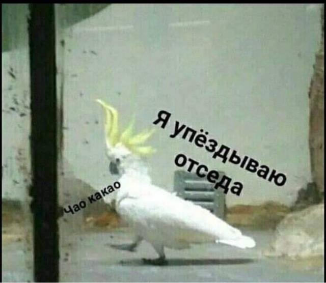 Бредзона 20.04.2020