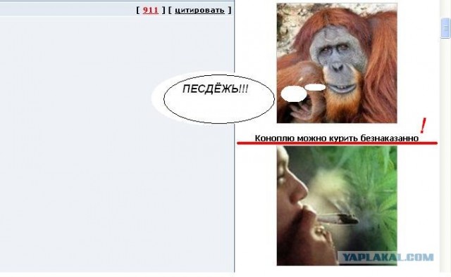 Говорящий сайт