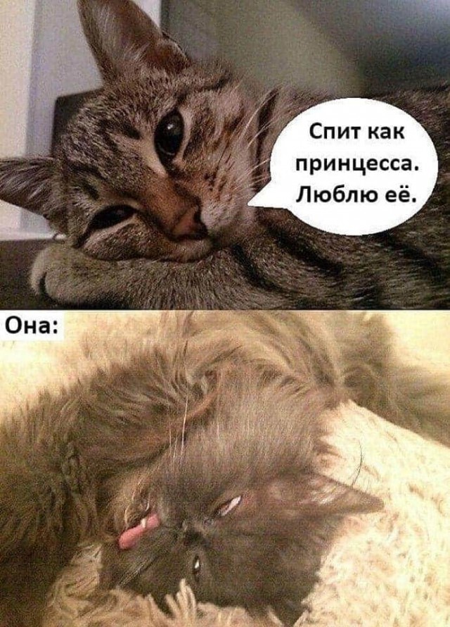 Немного картинок для настроения 18.07.20