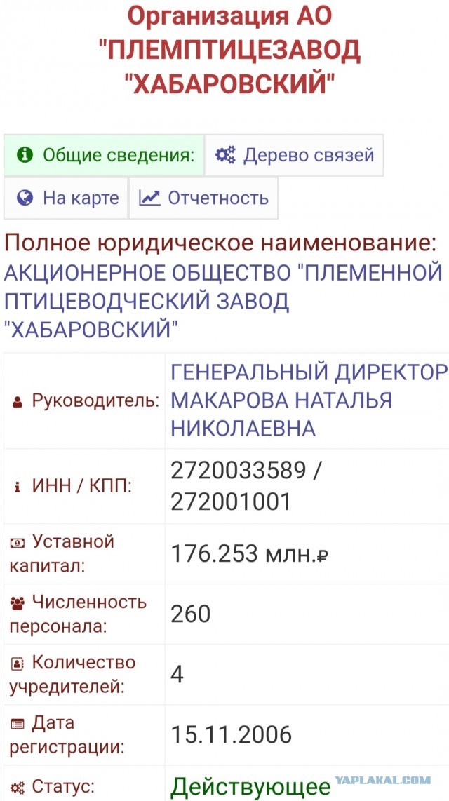 20 лет "поднятия с колен" на примере одного края