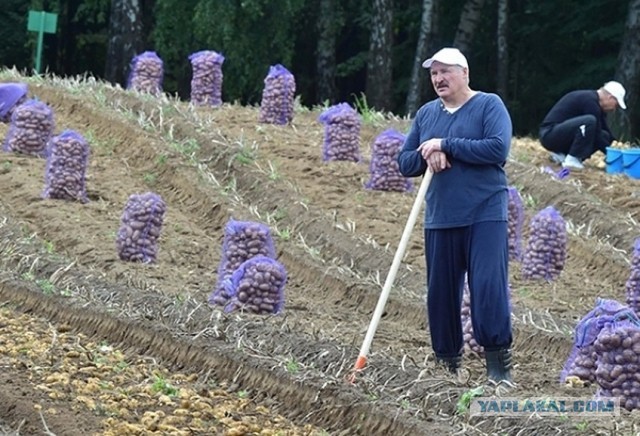 Перехват Лукашенко.