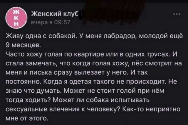 Картинки и мемы для настроения 014