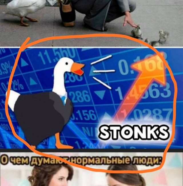Не пропускай день деградации!