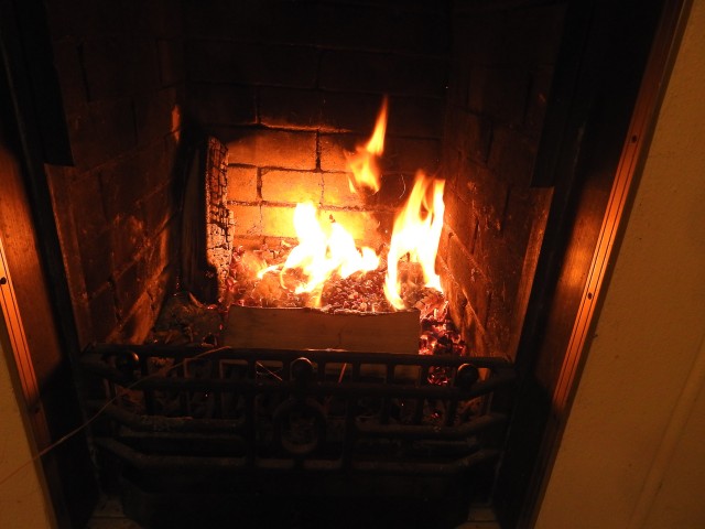 #ДРКулинарии2021! Каре Ягненка в стиле ‘прибой и земля’ (surf ’n’ turf)