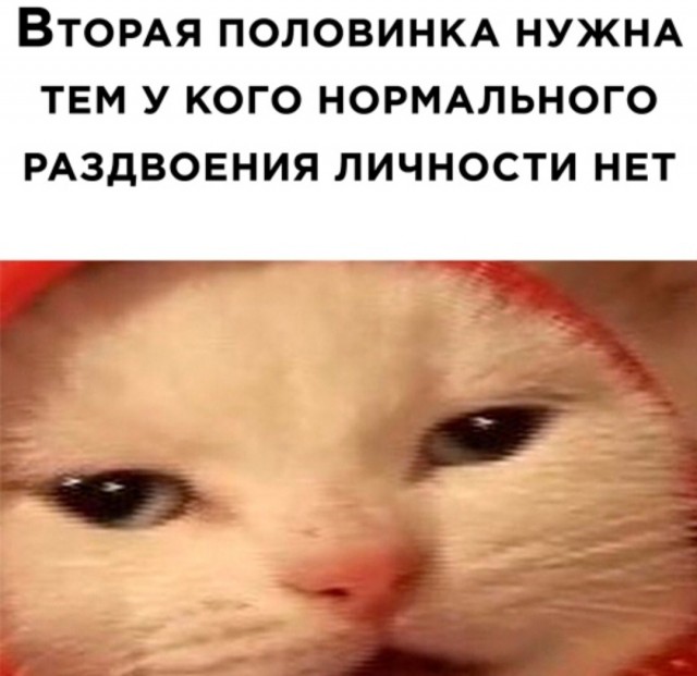 Бредзона 09.02.21
