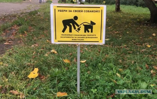 Убирайте за своими питомцами!