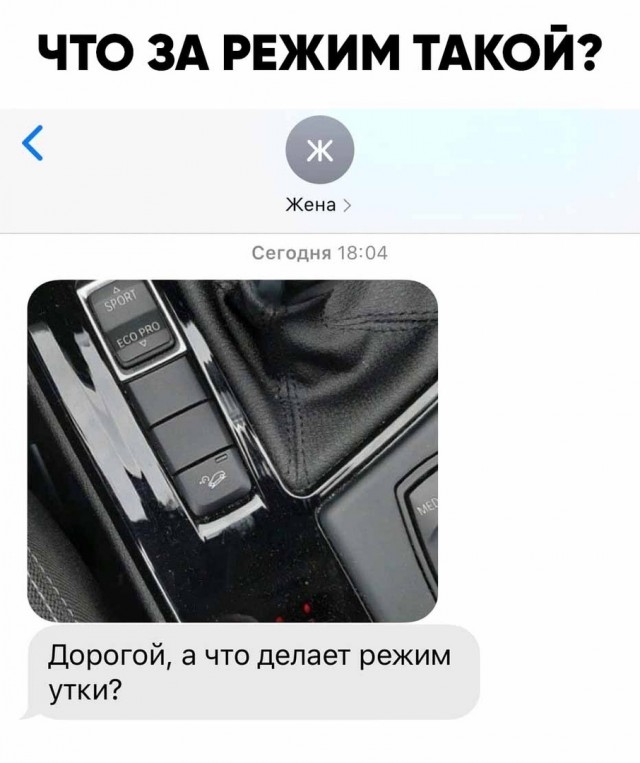 Весёлый полтишок 20.03
