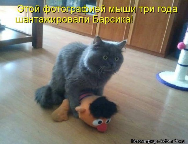 Денег нет, но вы держитесь. Как начать жить, а не выживать... Нищета народа - позор для страны!