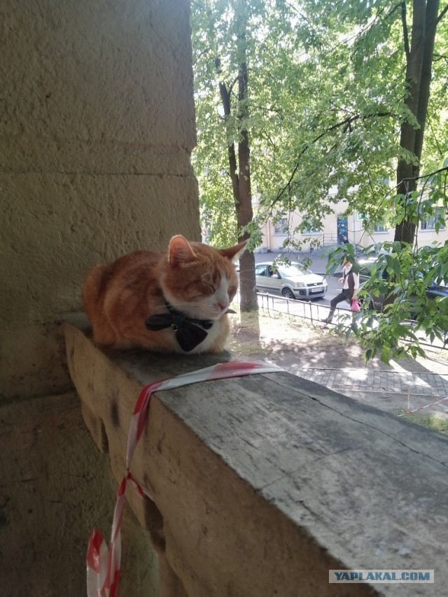 Жара, а многие женщины на улице в джинсах (лосинах), почему?