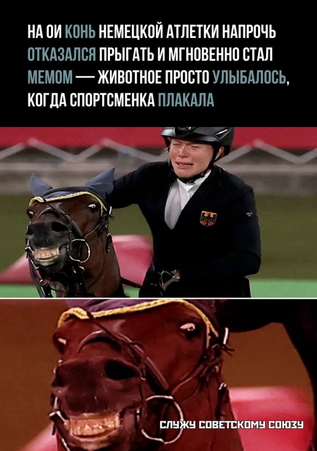 Так себе картинки 09.08.2021