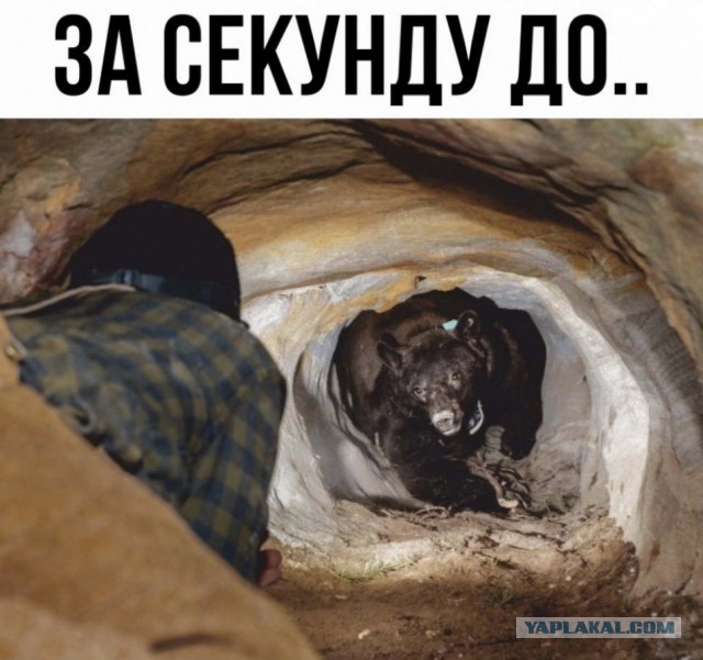 Россия как-то раз построила странный круглый корабль