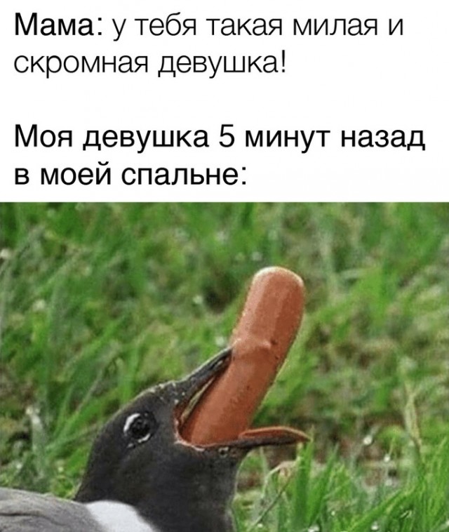 Весёлый полтишок 23.09