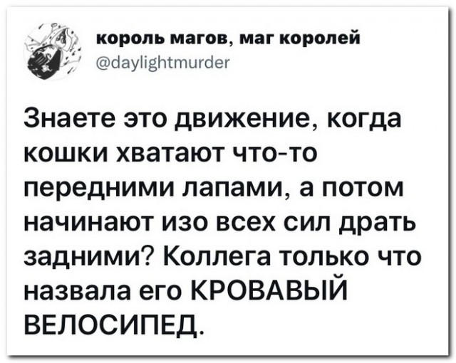 Забавные комментарии из социальных сетей (11.10.21)