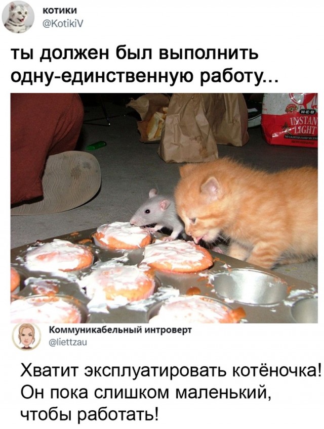 Так себе картинки 03.11.21