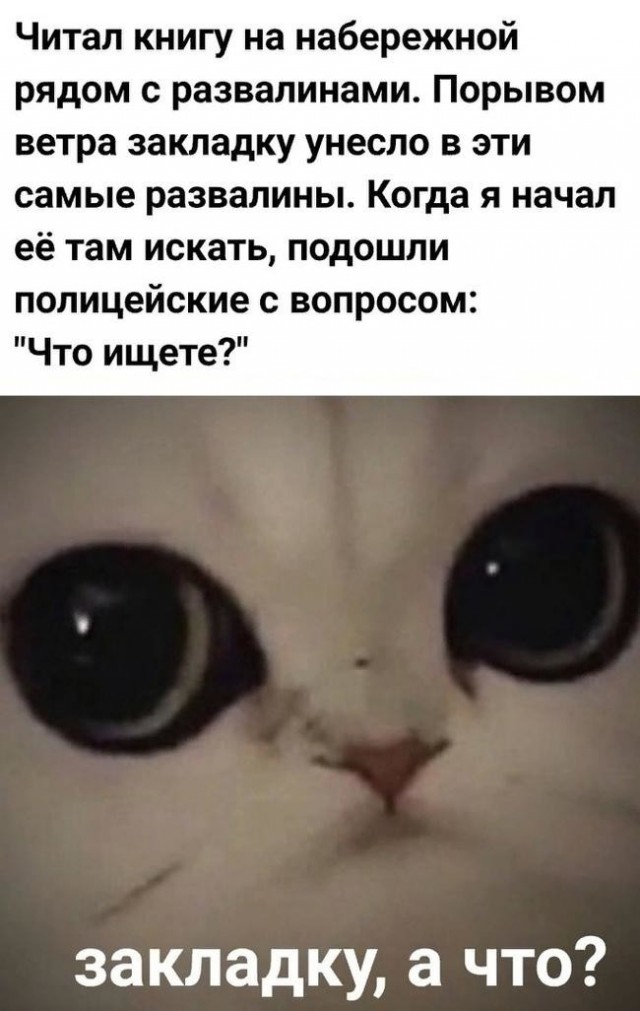 Закладчики