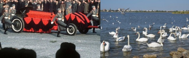 В ЛДПР попросили патриарха молиться за Жириновского