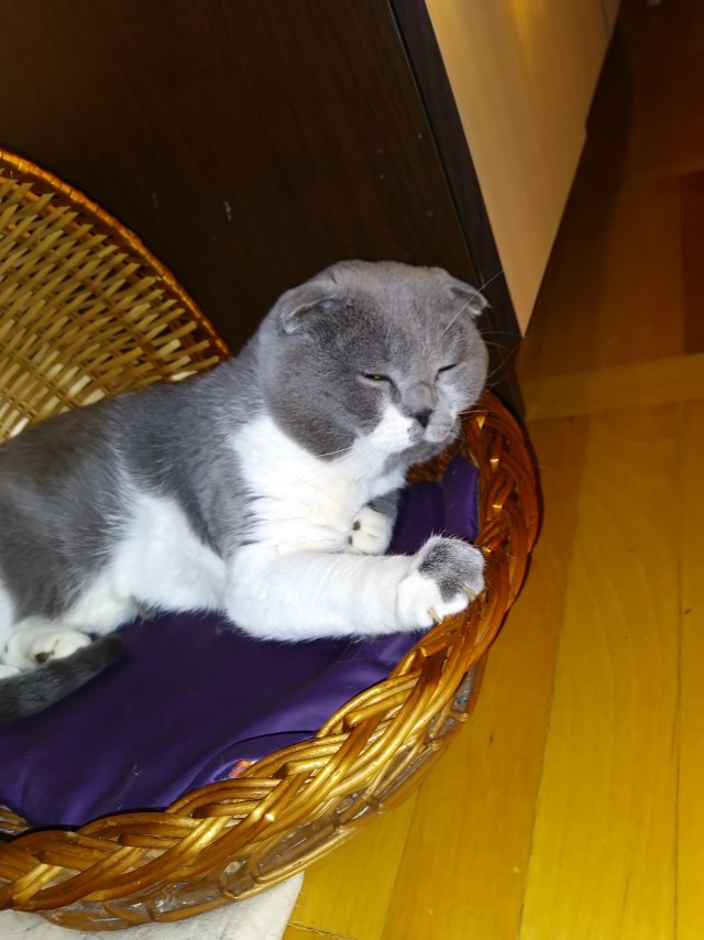 Котовторниковское
