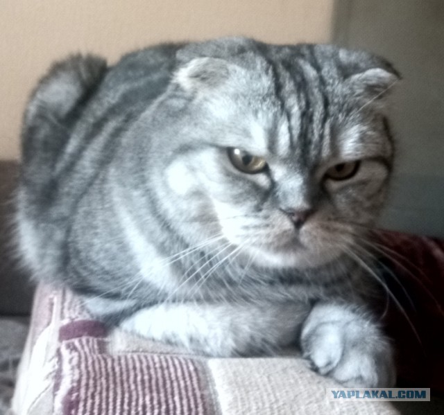 А что, уже вторник?