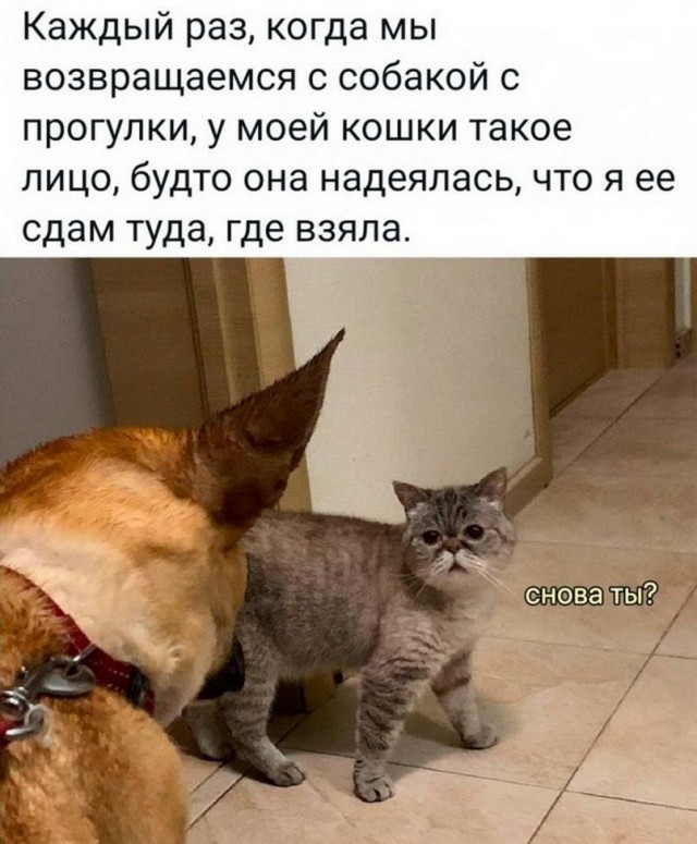 Картинки с надписями 17.06.22
