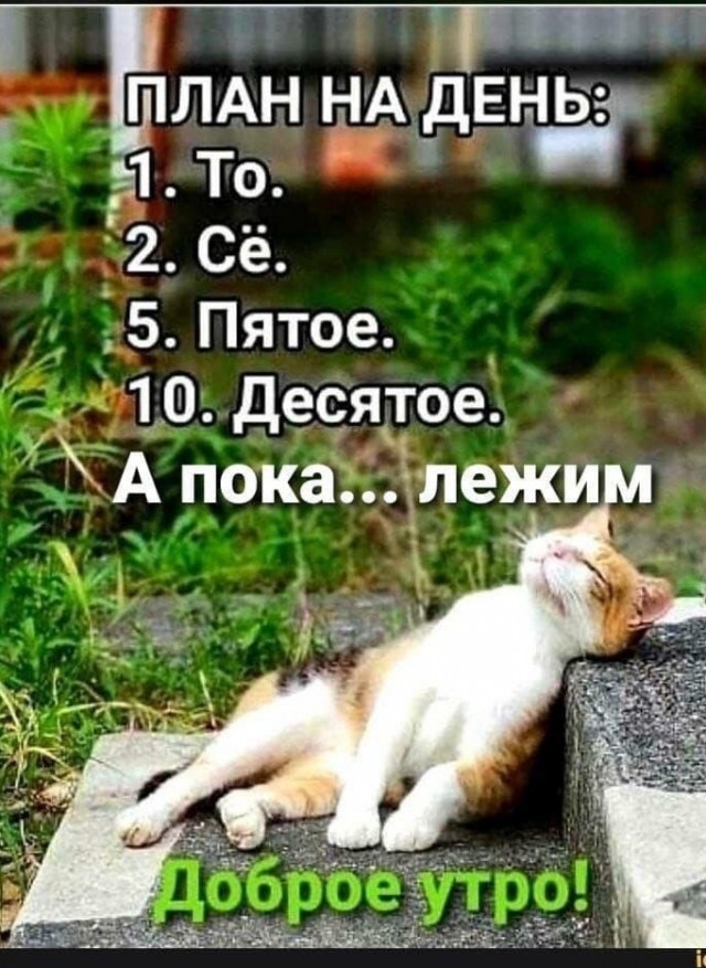 Женская сущность