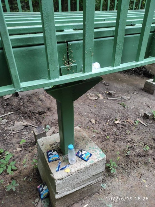 В Битцевском лесу спасли кота из стальной конструкции нового моста, в которую его  замуровали строители