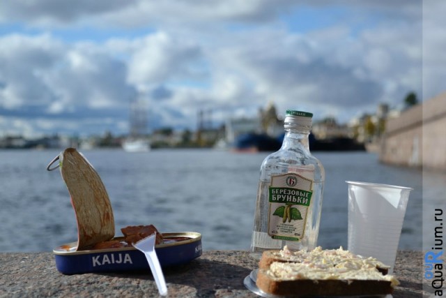 СПб глазами уставшего туриста...