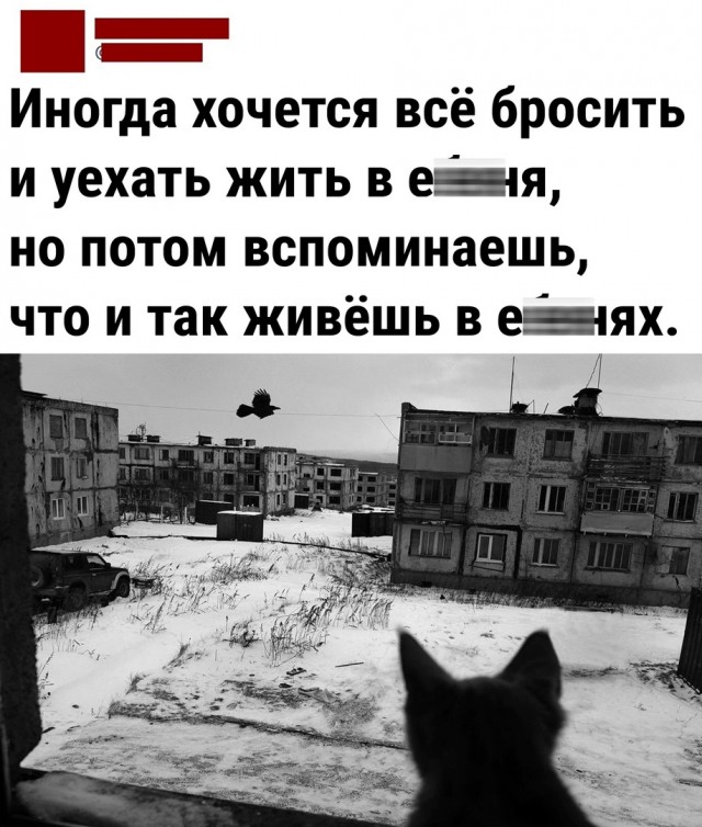Чуток картинок 26.07.22
