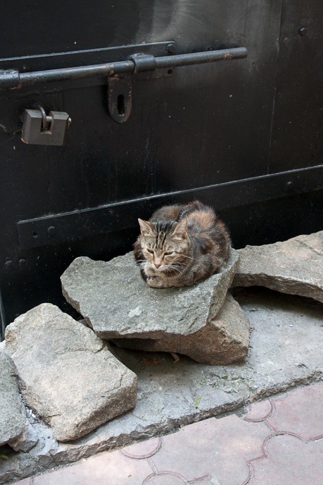 Массандровский винзавод. Музей, дегустация.